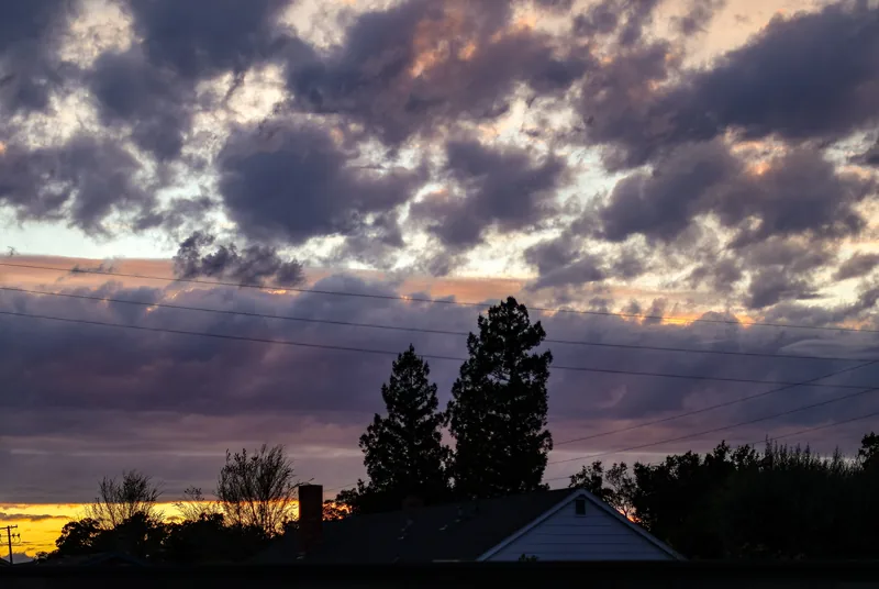 Photograph taken April 12, 2024 in Davis